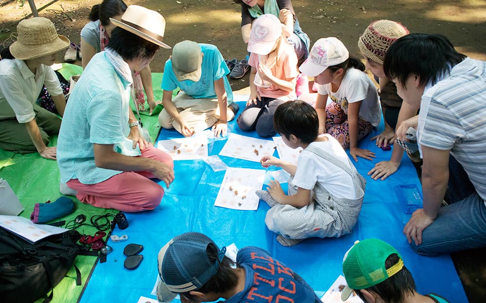 小平中央公園（東京都小平市）で毎年実施しているセミの抜け殻調査 ©Nao Ogikubo