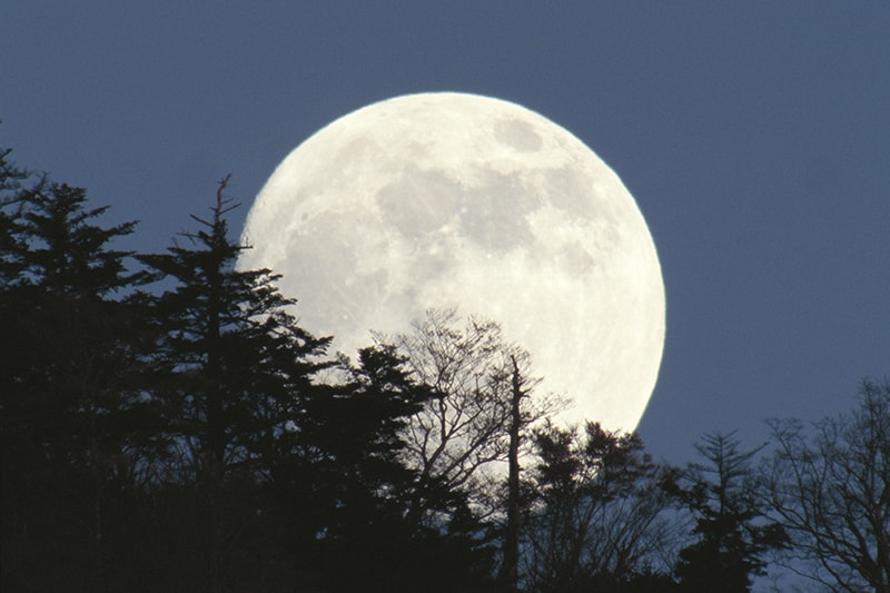 日本古来のお月見 十三夜 十五夜だけじゃない もう一つの月 アマナとひらく 自然 科学 のトビラ Nature Science