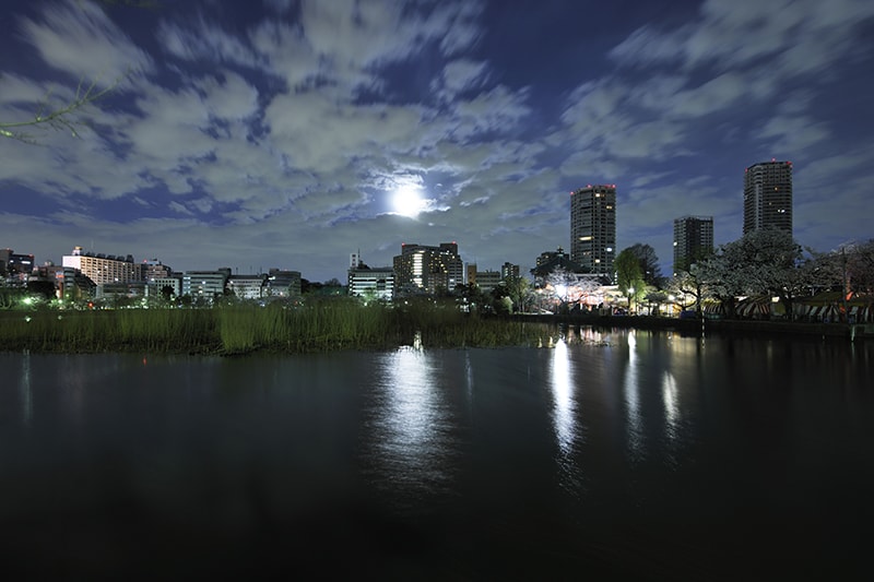 うろこ雲と月　東京都, 不忍池 ©PHOTOLIFE/a.collectionRF /amanaimages