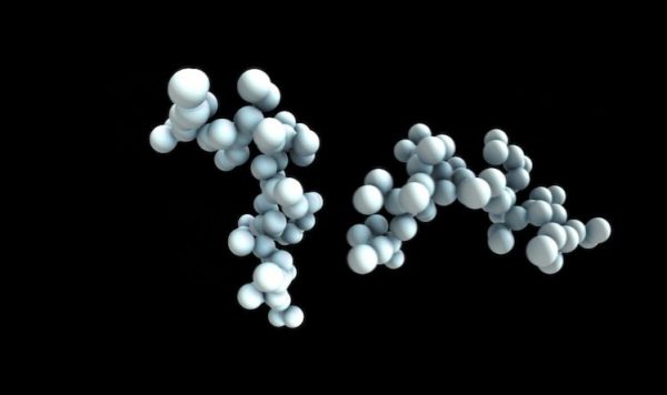 私たちの星への想い④