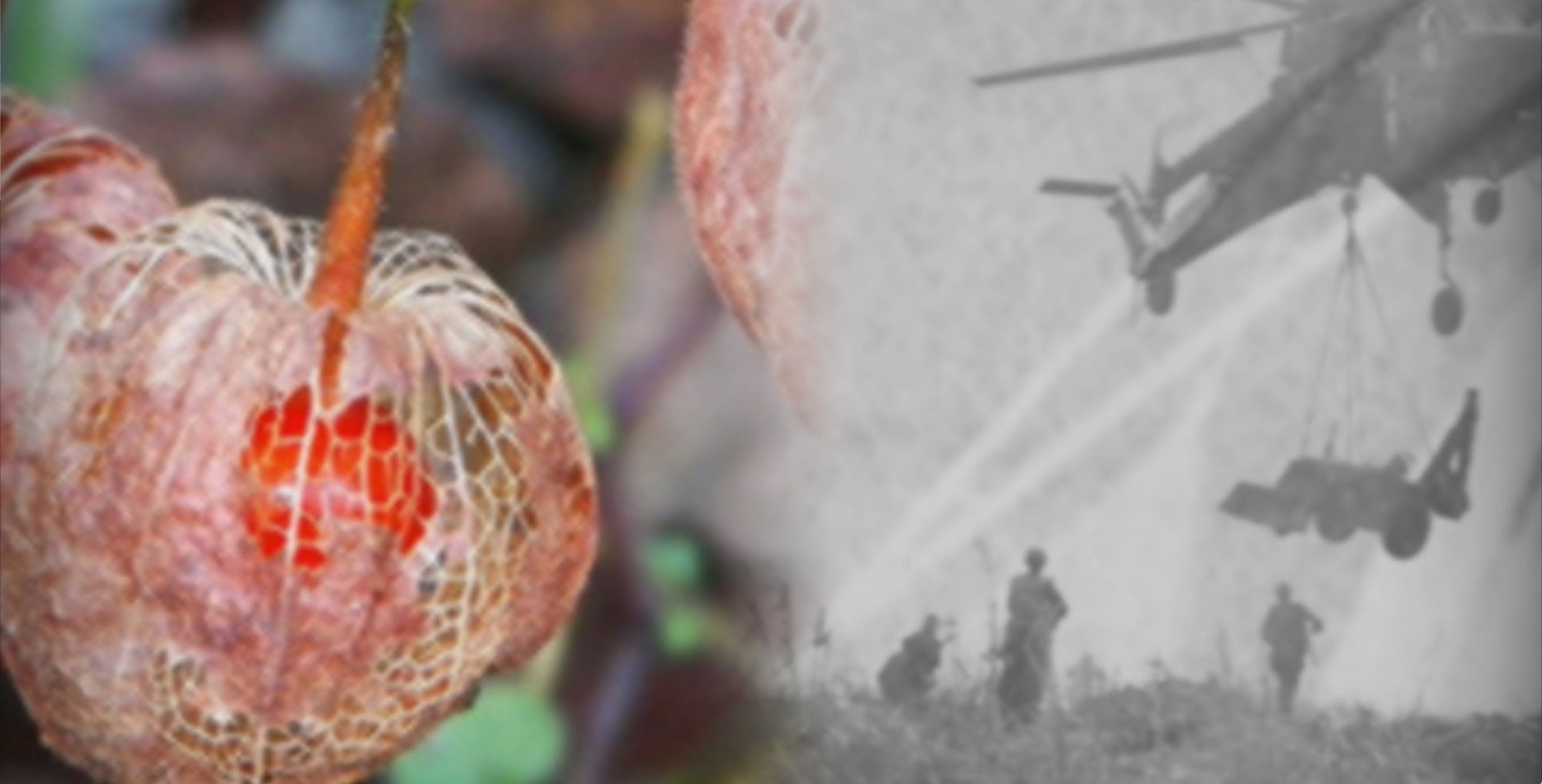 音楽家、ブライアン・イーノのアルバム表題曲「The Ship」のミュージックビデオをDentsu Lab Tokyoと徳井さんが中心となって制作。The Shipは、第一次世界大戦やタイタニック号沈没事故などの20世紀の歴史にインスパイアされた楽曲。AIが毎日のニュース映像に類似する写真を過去の歴史的アーカイブから検索して映像を生成し続けることで、人類の近代史を想起させる http://naotokui.net/projects/brian-eno-the-ship/