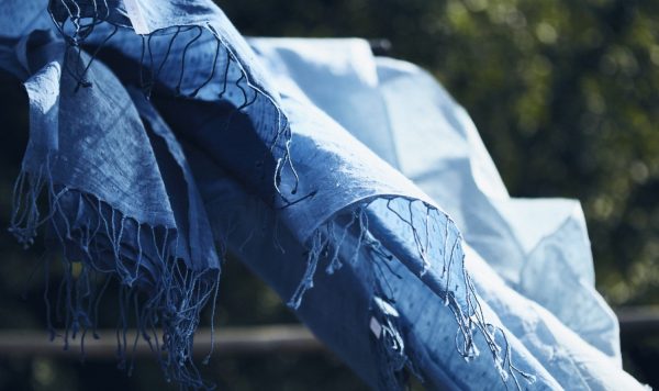 藍と “ジャパンブルー”（後編）