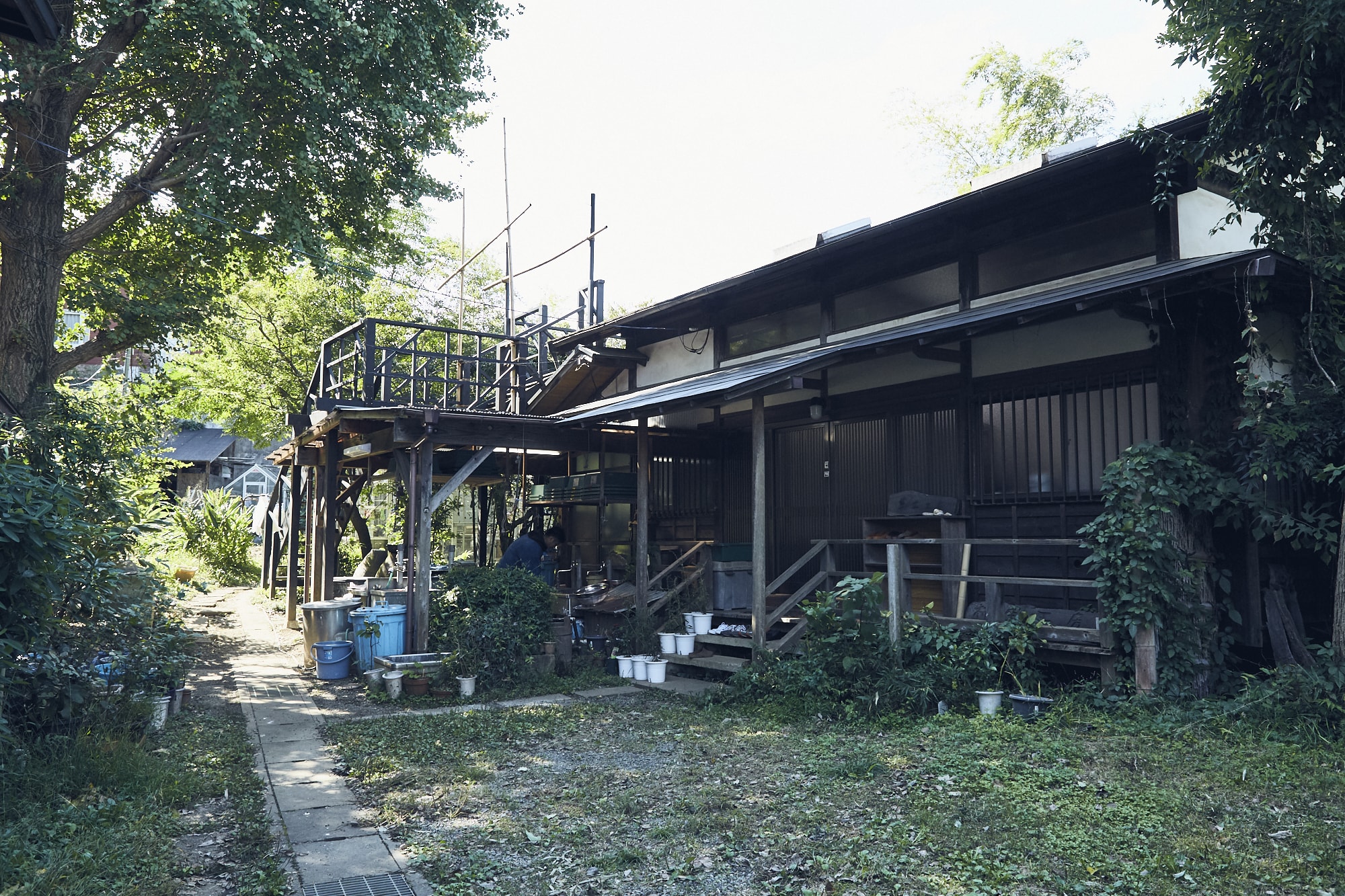 緑に包まれた工房。奥の畑では、染料になる植物が育てられている