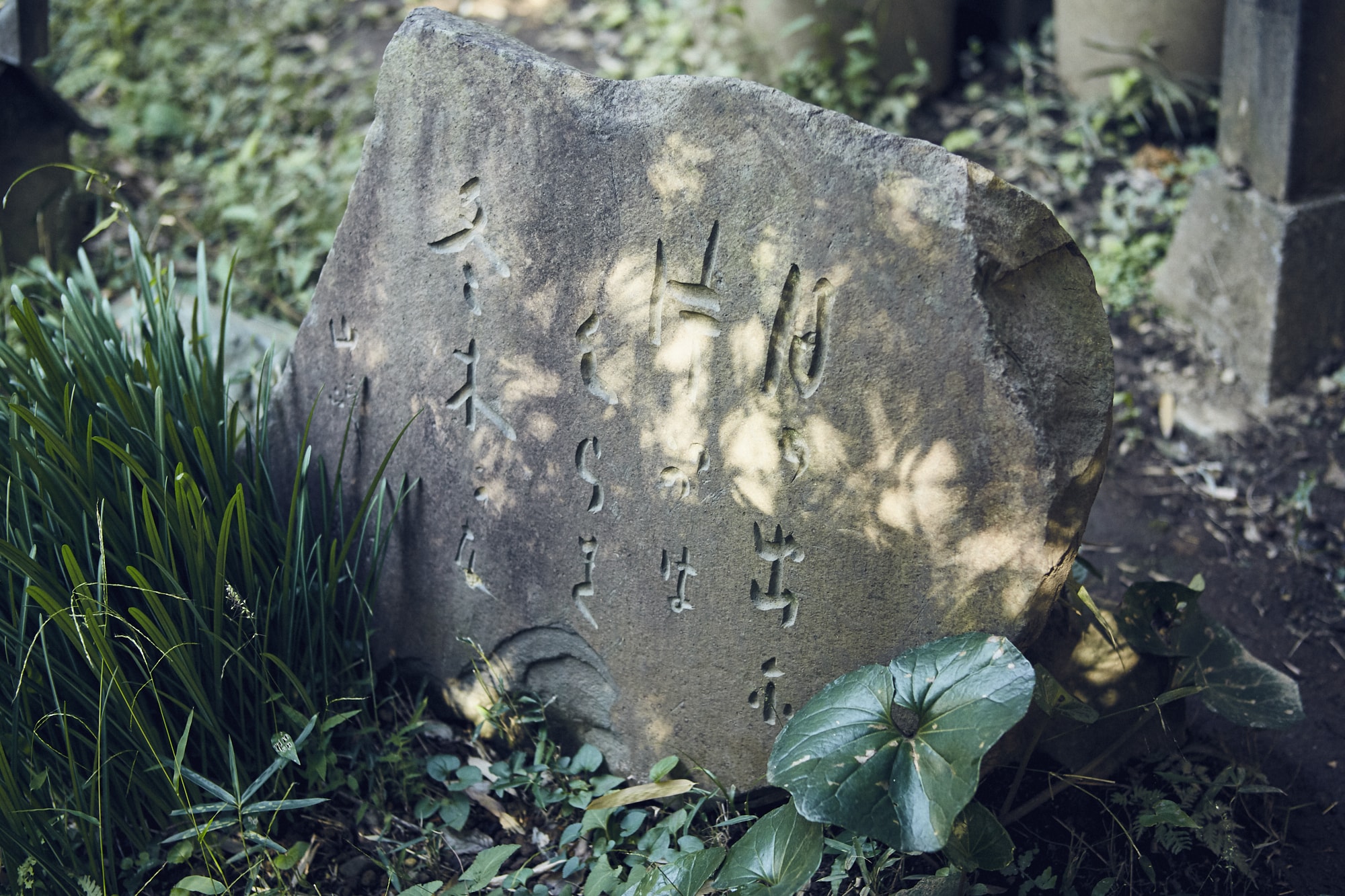 工房の庭には先々代、斌（あきら）氏の句碑