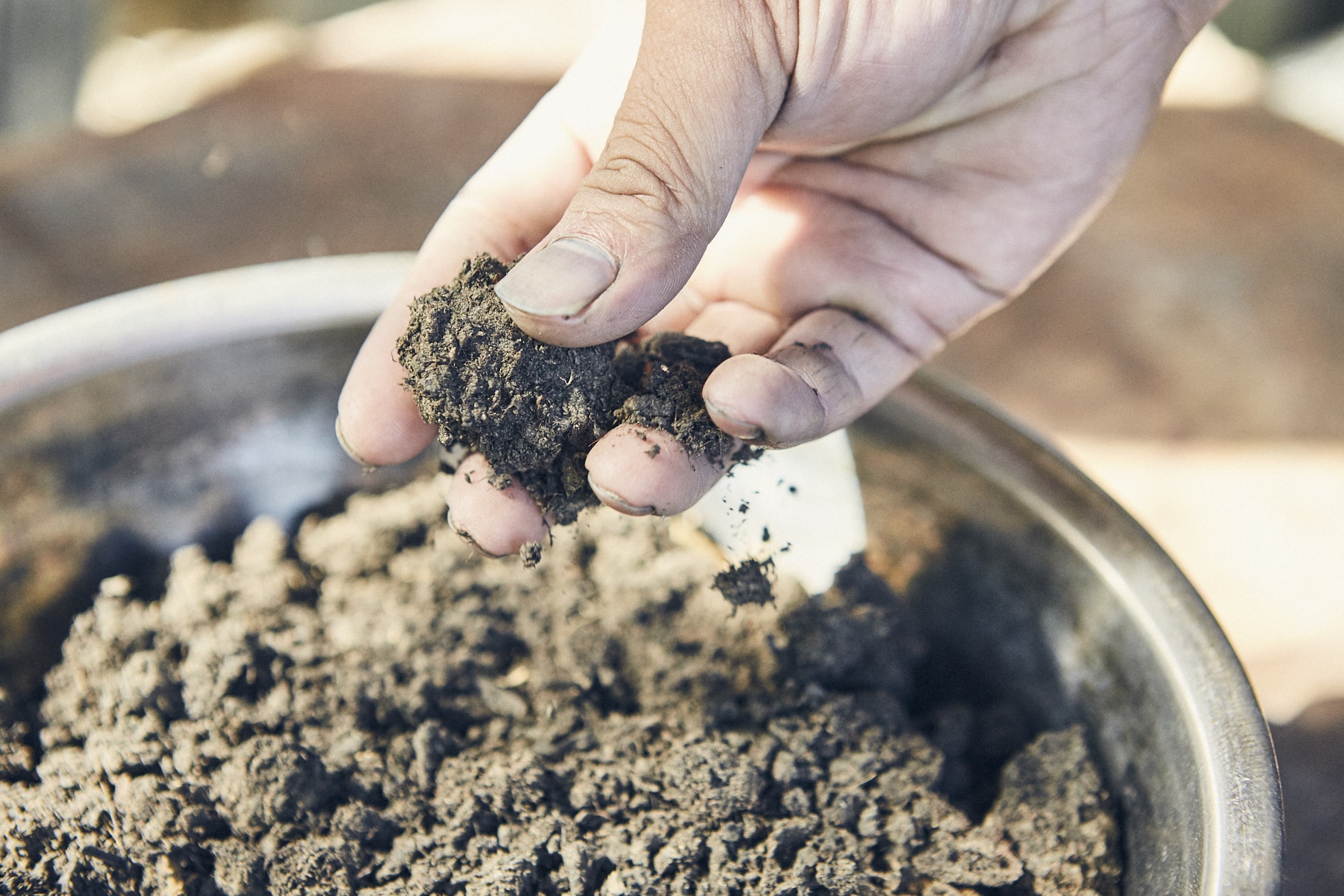 葉を発酵させた蒅（すくも）。これを瓶でさらに発酵させる