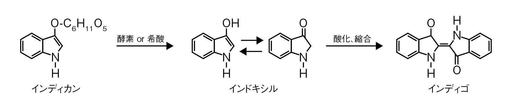 生葉染めを化学式で表すと… （文化財情報学研究 第10号をもとに作成）