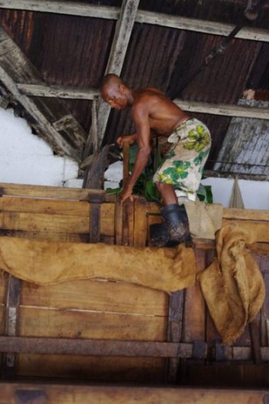 木箱の中に果肉の付いたカカオ豆を入れ、バナナの葉や麻袋で覆って発酵させる。使う木箱やバナナの葉などによって生息する微生物が異なるので、最終的にでき上がるチョコレートの風味も変わる （写真提供：蕪木祐介氏）
