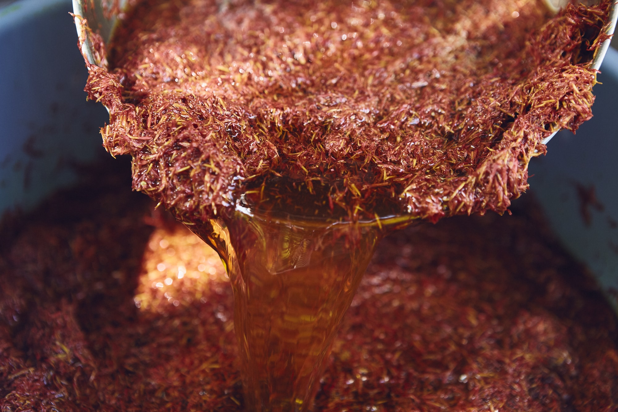 ベニバナの花弁。深い紅を染めることができる