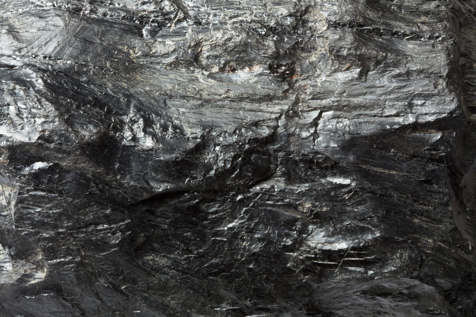 石炭の表面。動植物の死骸は、地下に埋没したのち、熱や圧力の影響を受けることで変質し、化石燃料となり、地下に貯蔵される。それを現代に生きる私たちが掘り出し、産業エネルギーとして大量に燃焼させることで、大気中の二酸化炭素濃度が急激に高くなっていった ©︎dkey/a.collectionRF /amanaimages