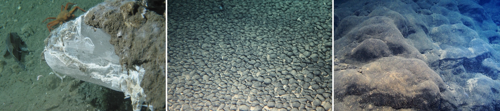 （左から）メタンハイドレート、マンガン団塊、コバルト・リッチ・クラスト ©JAMSTEC