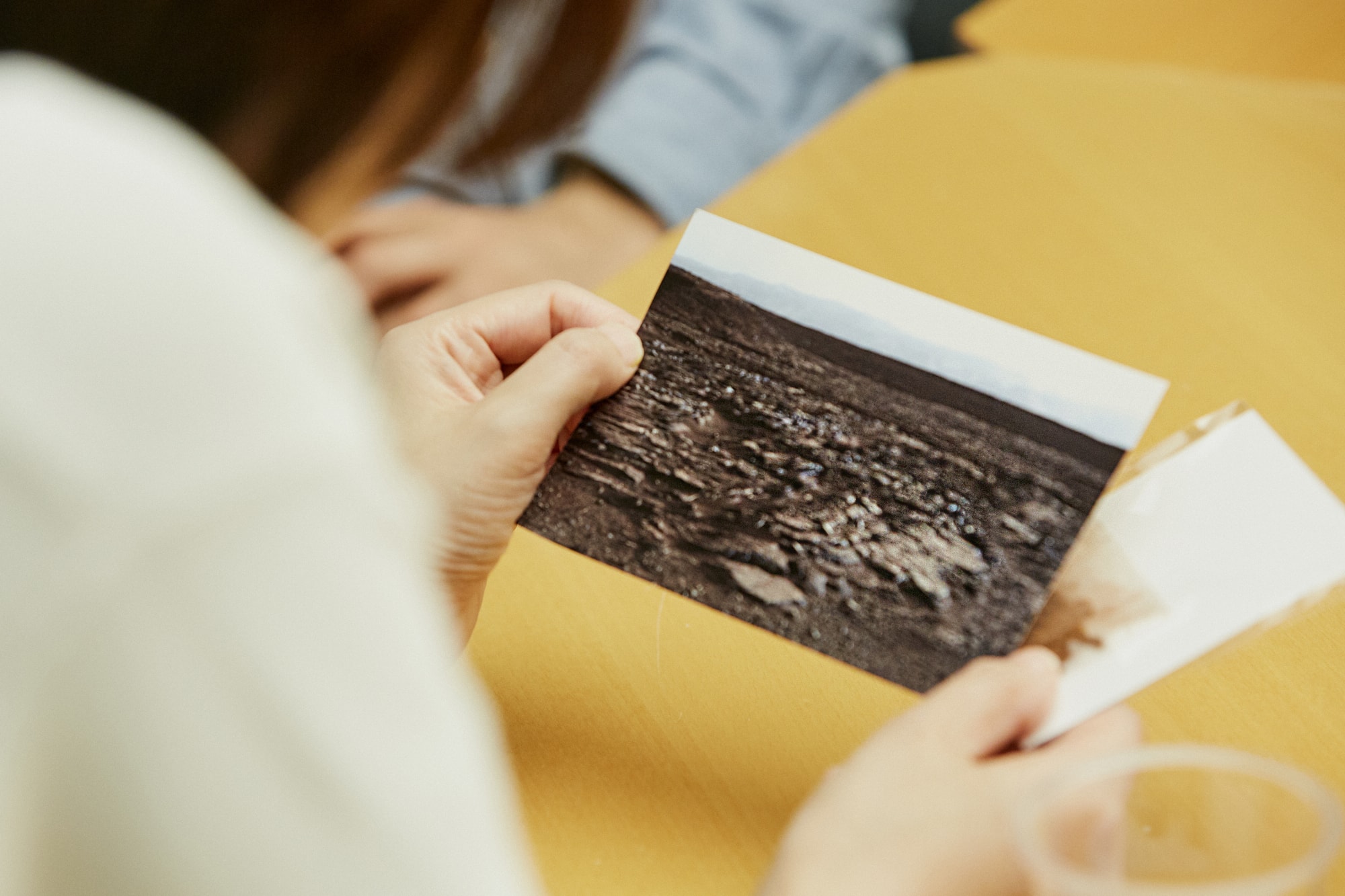 実際は、NASAの火星探査機ローバー「キュリオシティ」が火星で撮影した写真でした