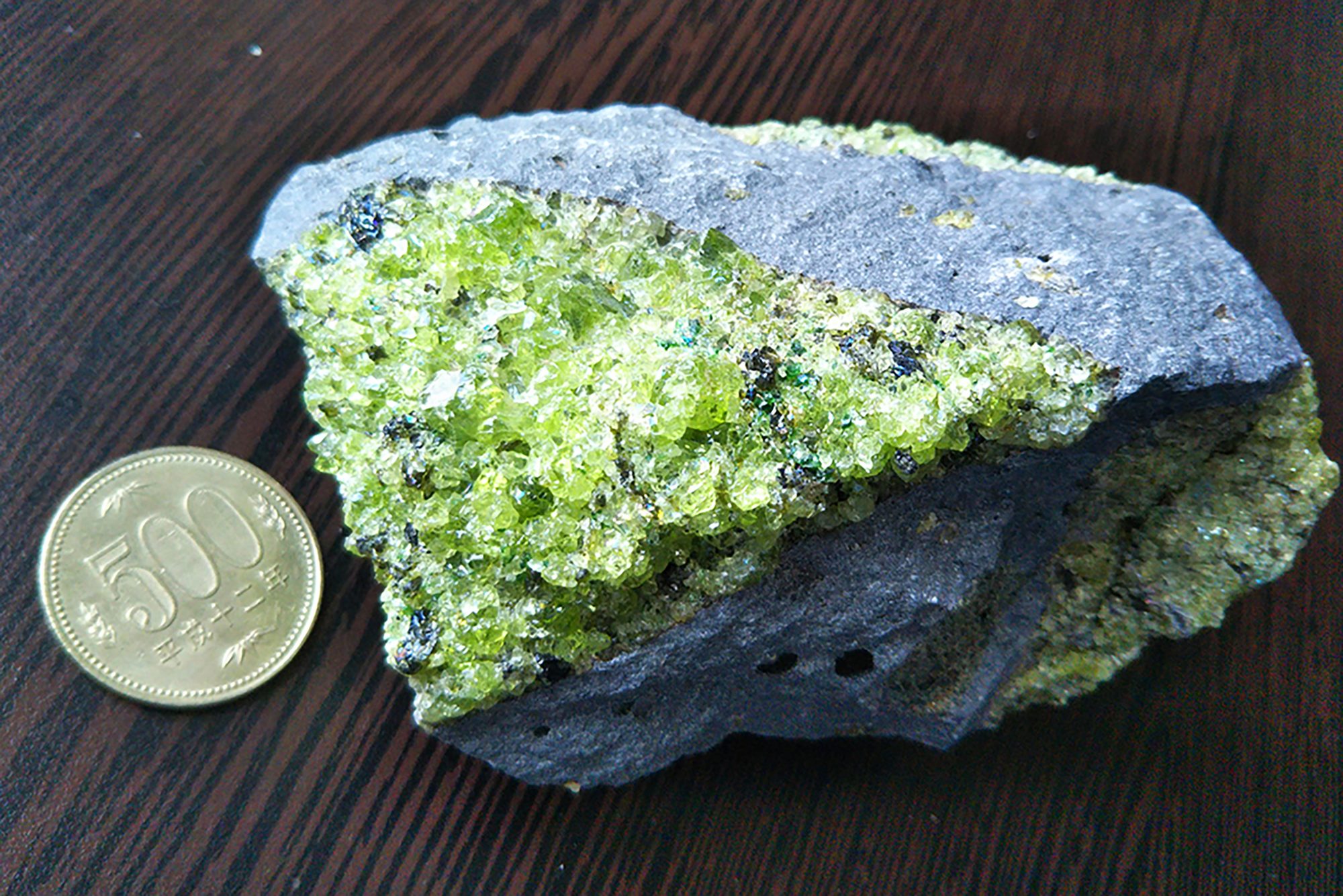 マントル由来の「かんらん岩」（緑色の部分）。地下600km位の深さまでのマントルは、かんらん石（宝石名はペリドット）のたくさん集まった、かんらん岩だと考えられている。また地下600km程度よりも深い部分は、かんらん岩と同じ化学組成を持つ、高圧で安定な岩石だと推測されている。 ©︎JAMSTEC