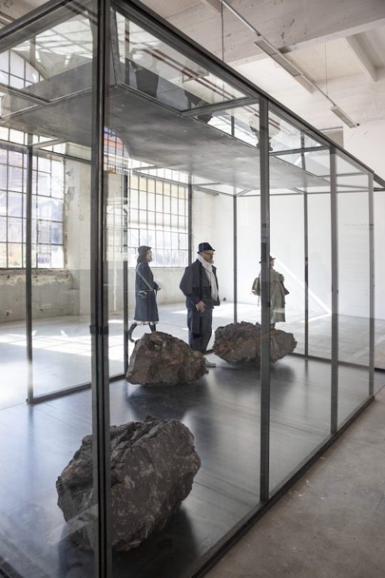 「The past and the future are present」展では、すでに絶滅してしまった植物の香りが再現された ©Pierre Grasset