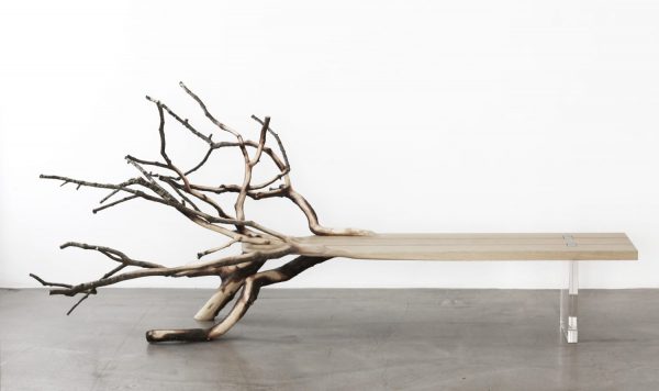 自然界に学ぶデザインの潮流