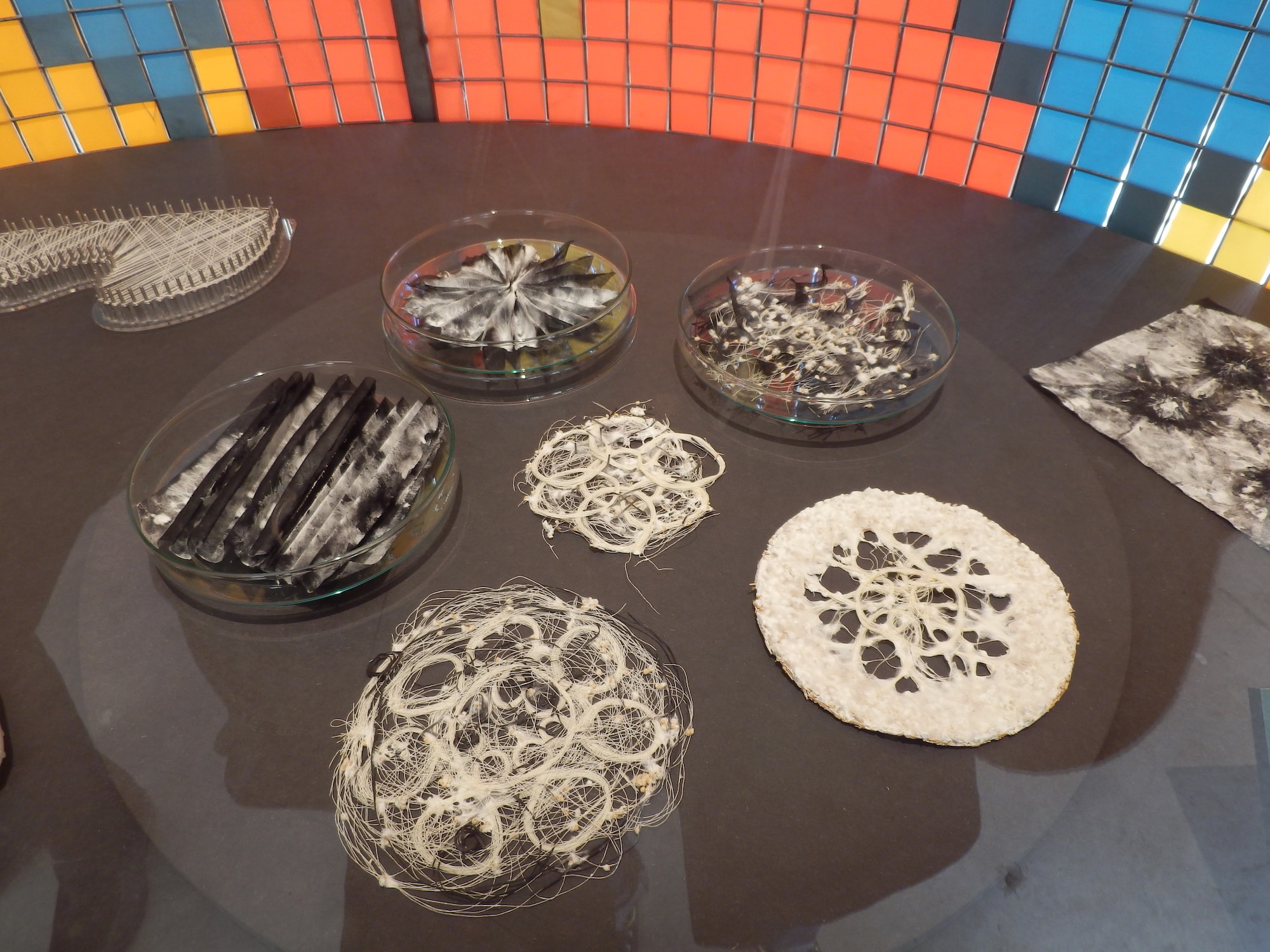 テキスタイル産業が注目する生物分解素材である「菌糸」を使ってテキスタイルに描かれたモチーフ。菌糸をプリーツ（常温）、エンボス、刺繍（低速度成長）、染め、編みなどの手法で加工する実験がされている デザイン：Carole Collet Design&amp;Living Systems Lab – Central Saint Martins UAL – ©Kaoru Urata