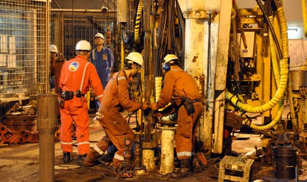 地下深くに広がる生命体の森へ（後編）