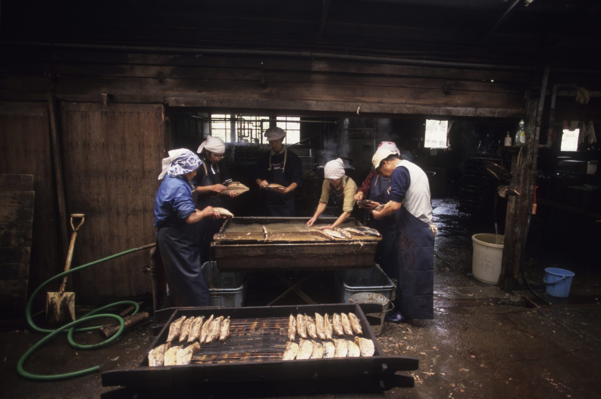 鰹節づくりの一コマ（静岡県西伊豆町田子）。1時間ほど煮上げた鰹を木棚に並べる様子。この後の一般的な工程では燻蒸にかけた後、天日干し（または乾燥機）で乾燥。次に、麹菌（鰹節カビ：アスペルギルス・レペンス、アスペルギルス・グラウカス）が棲む「室（むろ）」に入れる。鰹節カビを水分量の多い鰹（なまり節）の表面に2週間ほど繁殖させてから、いったん除去。また乾燥させて室に入れる、という工程を繰り返す。5〜6回ほどで中心部から均等に水分が失われ、組織が緻密になっていく。数ヶ月から1年ほどの熟成期間を経て「本枯節（ほんかれぶし）」が完成する ©︎HIROSHI OHASHI/SEBUN PHOTO /amanaimages