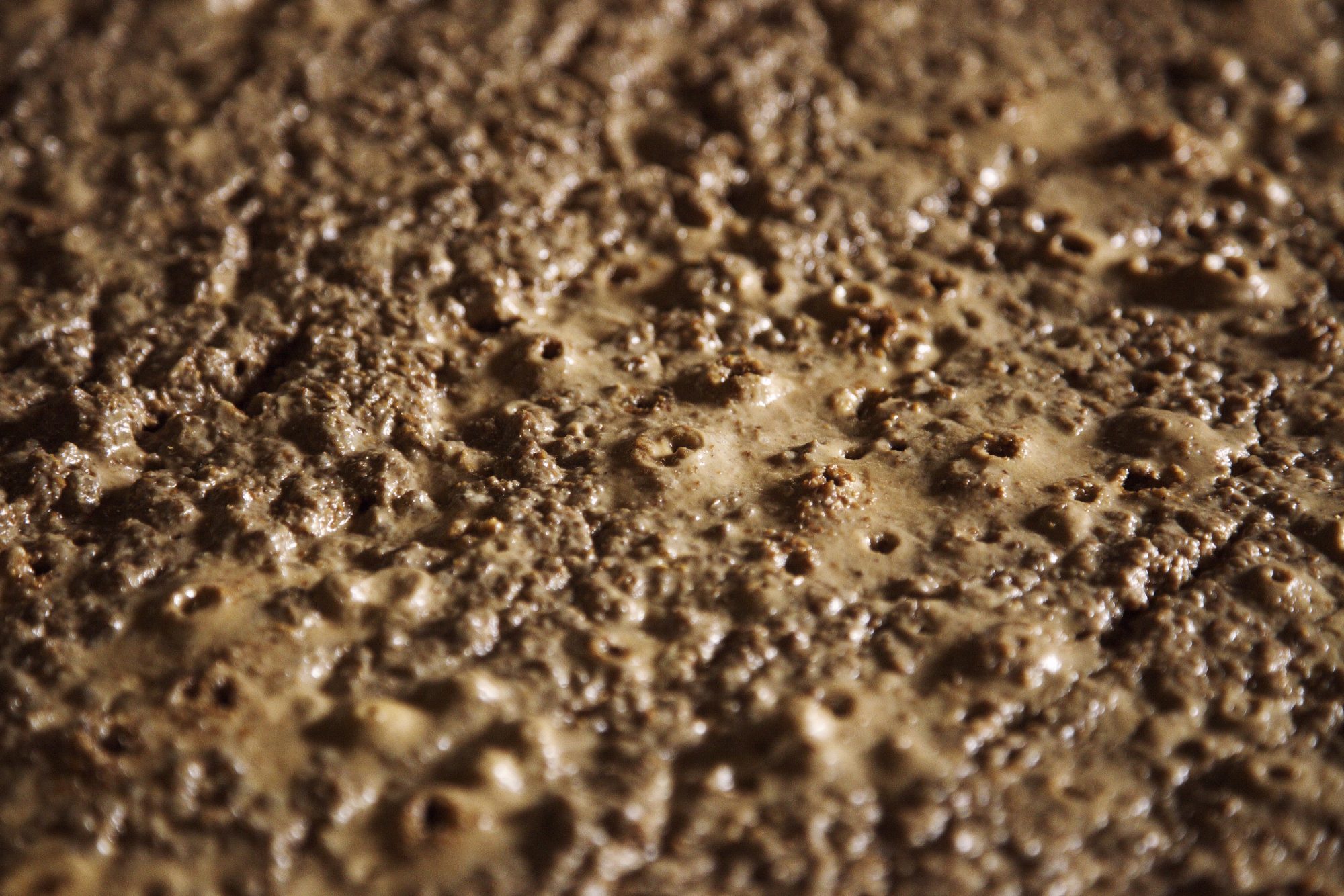 納豆や味噌など、日本には大豆を発酵させる食文化が根づいている。写真は、醤油蔵で発酵中のもろみ（醪、諸味）。数ヶ月から2年ほど寝かせた後に絞って、醤油が生まれる（千葉県香取郡東庄町） ©︎JUN YAMAGUCHI/SEBUN PHOTO /amanaimages