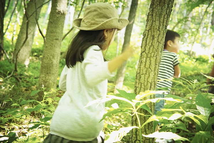 ©︎hi-bi /amanaimages