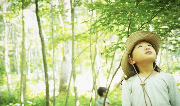 森の中に漂う、良い香りの正体。