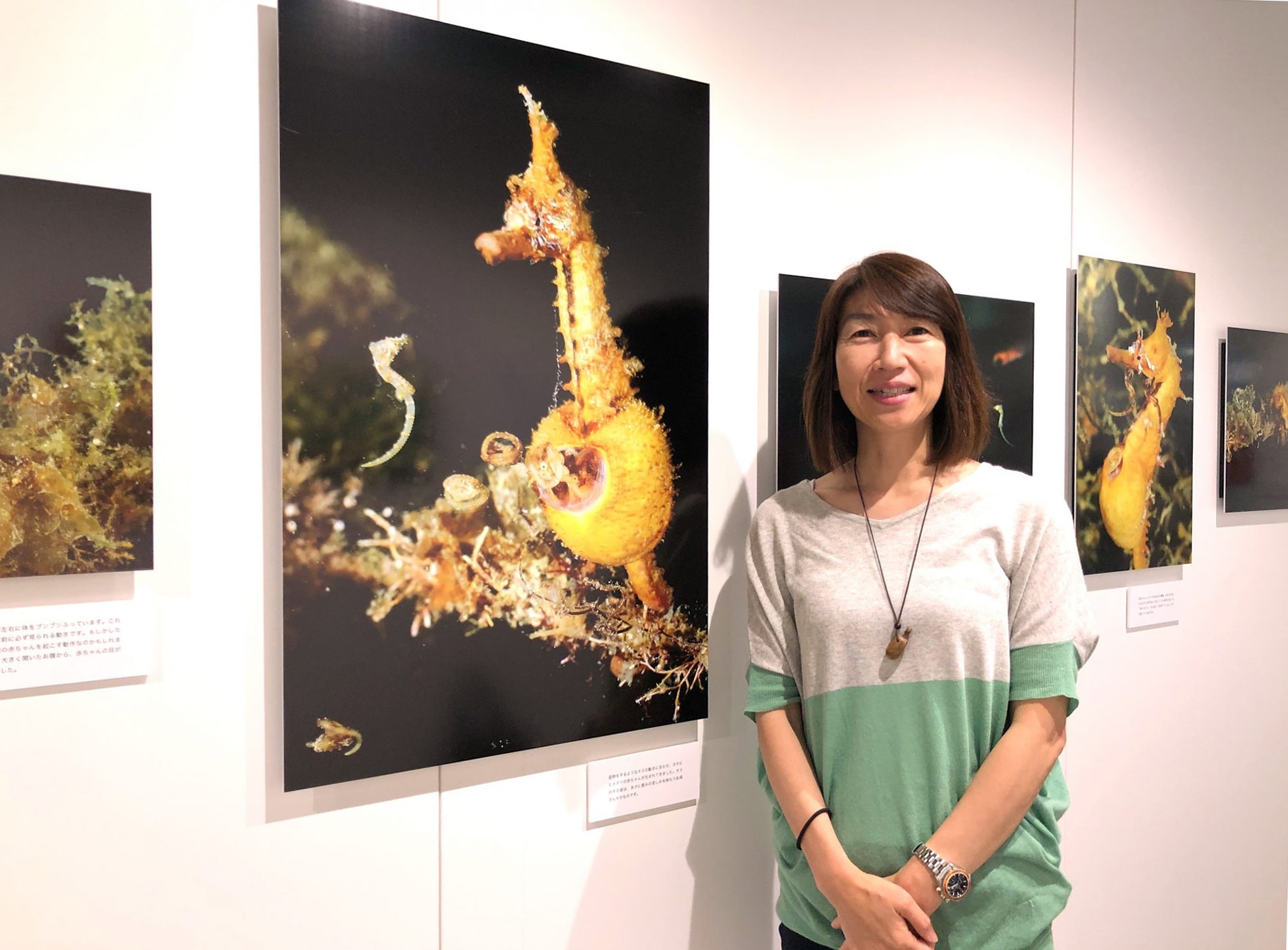 尾﨑 たまき（おざき・たまき）／1970年熊本市生まれ。写真家。19歳でダイビングを始め、海の持つ力強さや生きものたちの健気な生きざまに感動。撮影スタジオで広告写真を撮影する傍ら、独学で水中写真に取り組む。本格的に水中写真に取り組むため上京し、水中写真家・中村征夫氏の弟子として研鑽を積む。2011年よりフリーランス。ライフワークである水俣、三陸、動物愛護センターなど、命をテーマに取り組んでいる。著書に写真絵本『みな また、よみがえる』、写真集『水俣物語』（ともに新日本出版社）、フォトエッセイ『お家に、帰ろう ー殺処分ゼロへの願いー』（自由国民社）など。 http://www.ozakitamaki.com/ （撮影：神吉 弘邦）