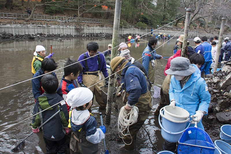 池の水をすべて抜く本当に正しい方法 井の頭池 かいぼりで蘇る アマナとひらく 自然 科学 のトビラ Nature Science 池の水をすべて抜く本当に正しい方法 井の頭池 かいぼりで蘇る アマナとひらく 自然 科学 のトビラ Nature Science