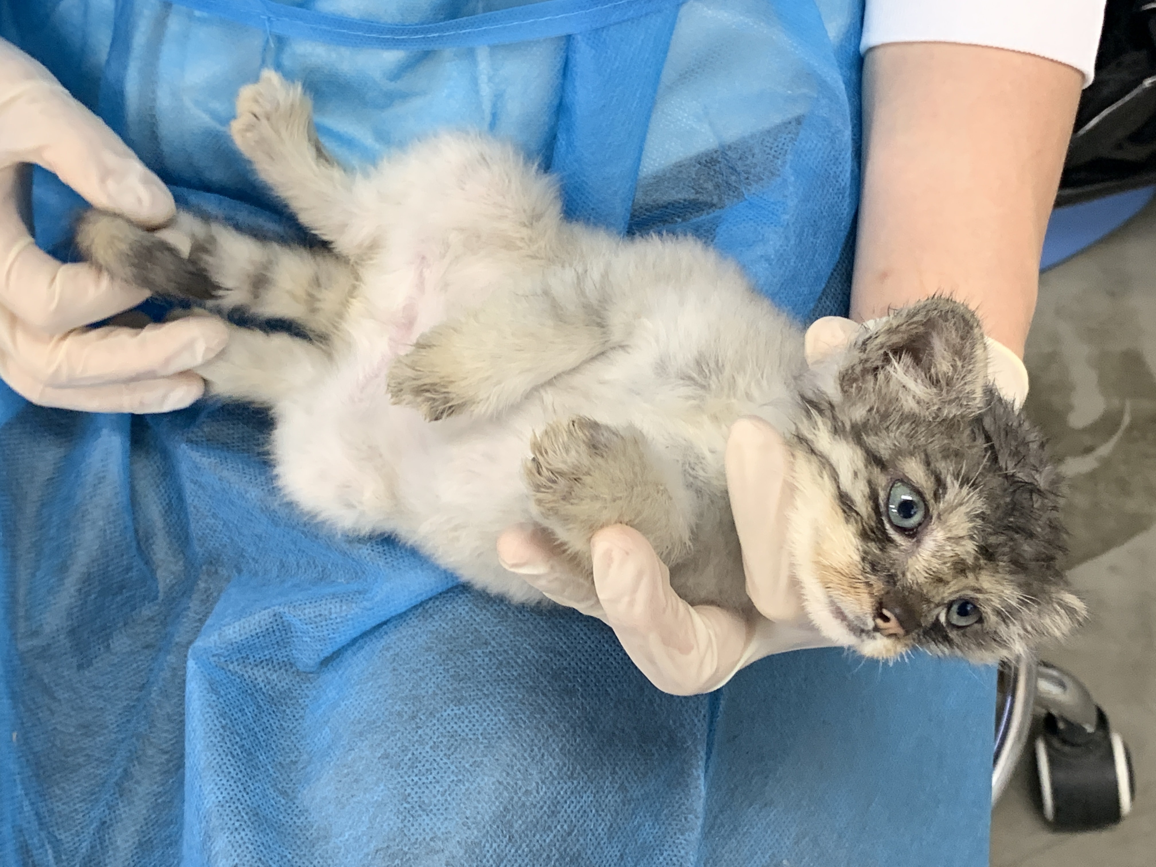 写真：那須どうぶつ王国