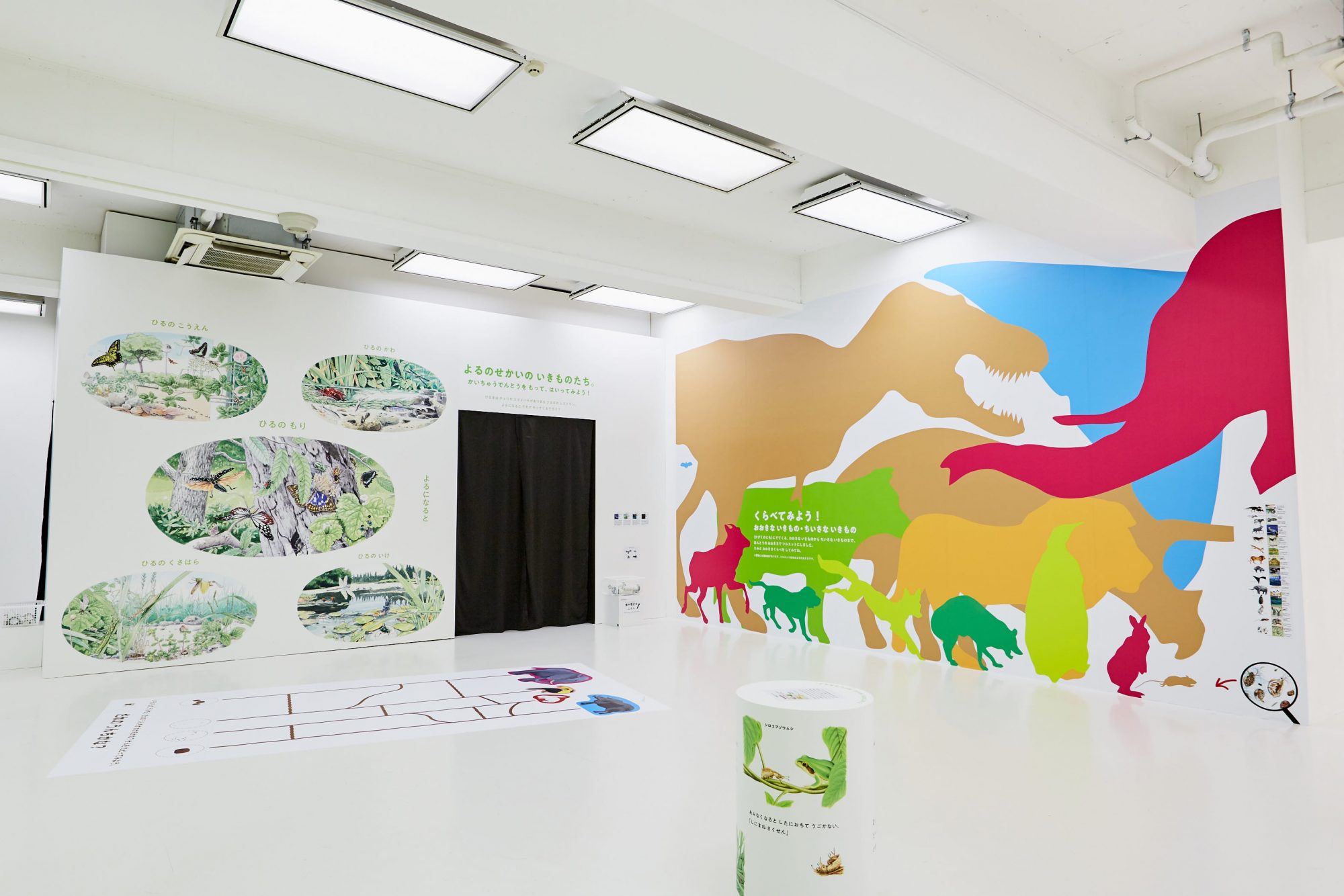 「からだ」コーナー、「しぜん」コーナーでは体感型展示も。懐中電灯を持って、夜の暗闇に息づく動物たちを探検！