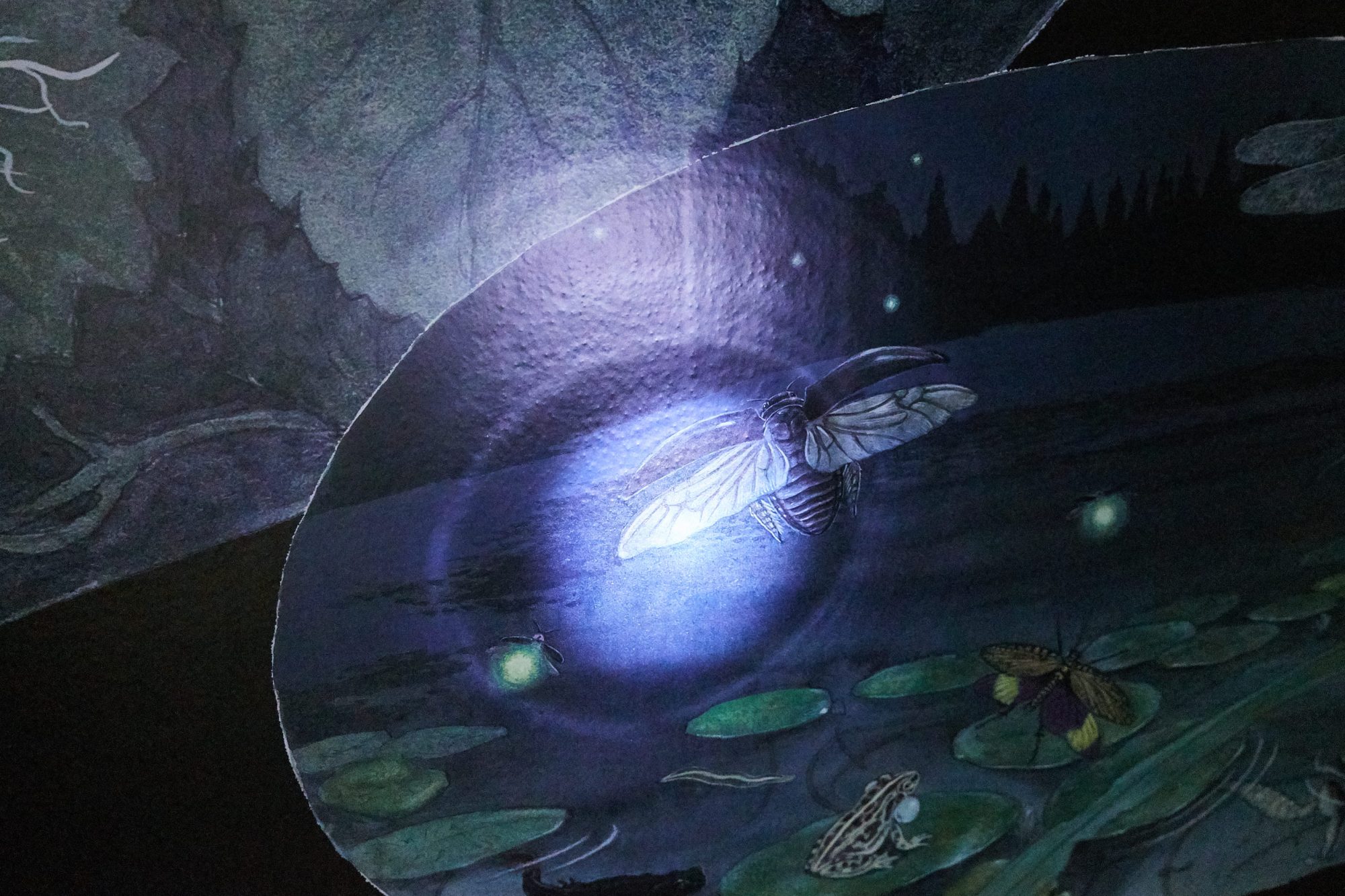 「からだ」コーナー、「しぜん」コーナーでは体感型展示も。懐中電灯を持って、夜の暗闇に息づく動物たちを探検！