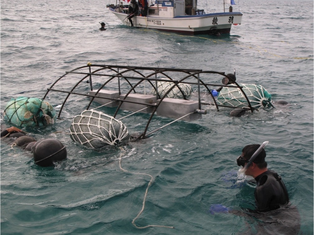 サンゴ棚を設置するところ（写真提供：エム・エム ブリッジ）