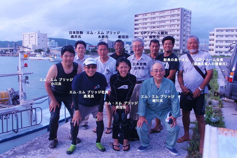 サンゴの成長を促進させるこの技術に「GMC （Galvanic Method for Corals）」と名付け、エム・エム ブリッジ株式会社、東京大学、日本防蝕工業株式会社、株式会社CPファームの4者で共同研究している （写真提供：エム・エムブリッジ）