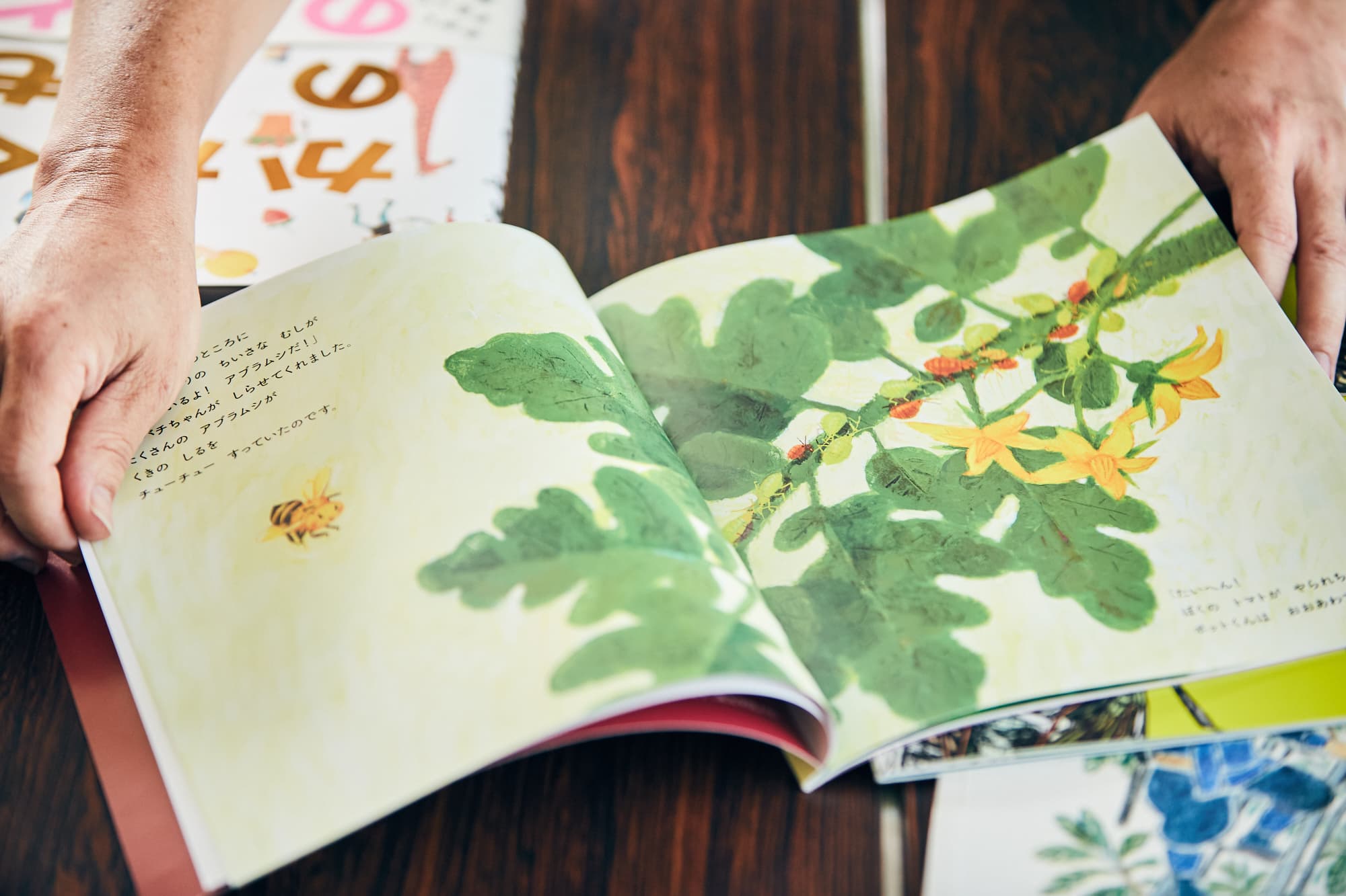 ターくんの ちいさな いけ｜福音館書店