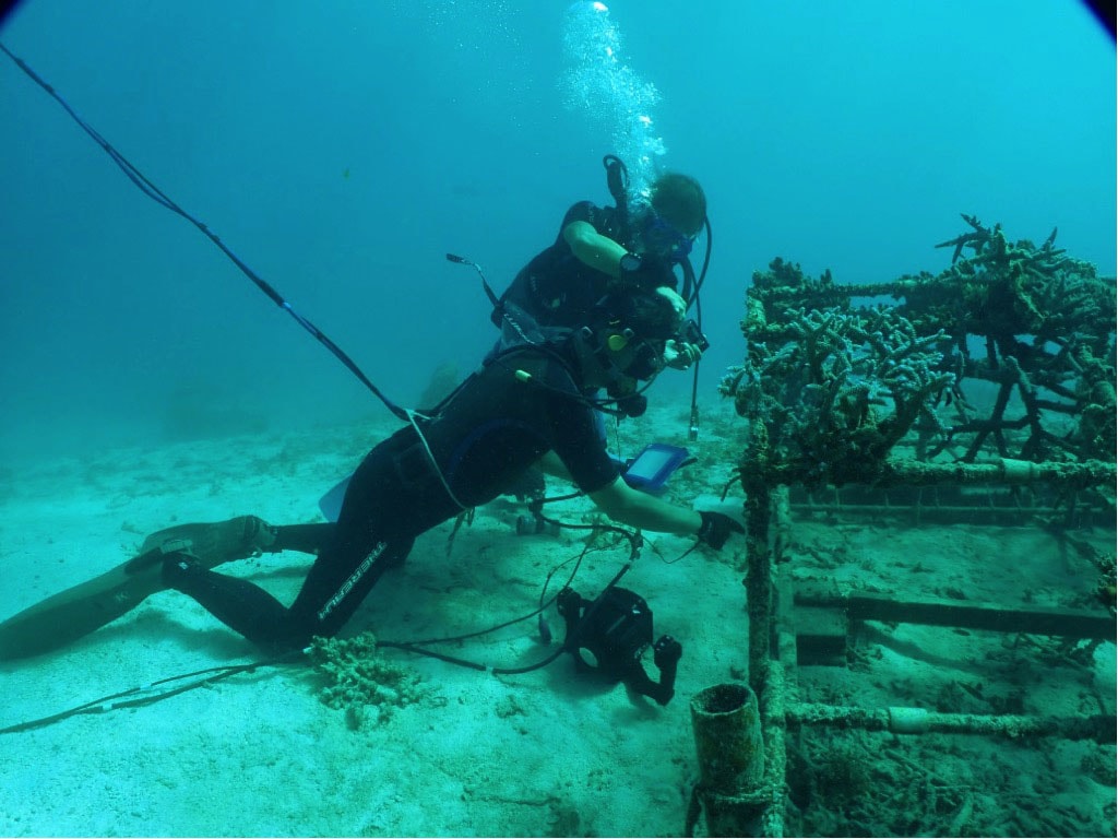サンゴ棚につくサンゴを調査中（写真提供：エム・エム ブリッジ）