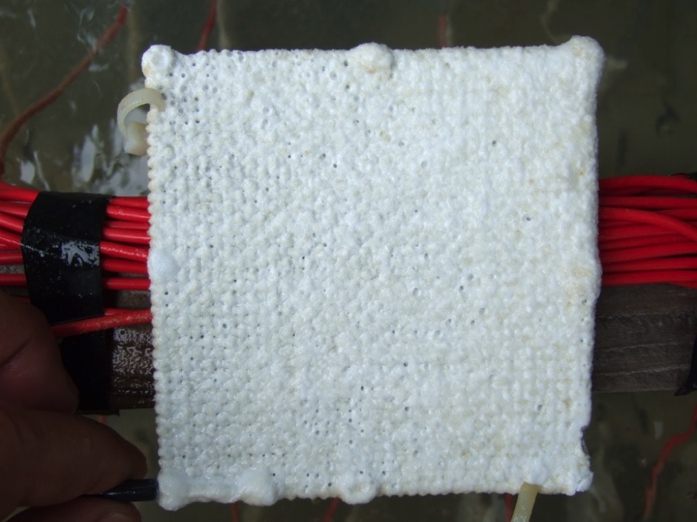 まだサンゴがついていない着床基盤。この凸凹がサンゴの着床を助けているかも？ （写真提供：エム・エム ブリッジ）