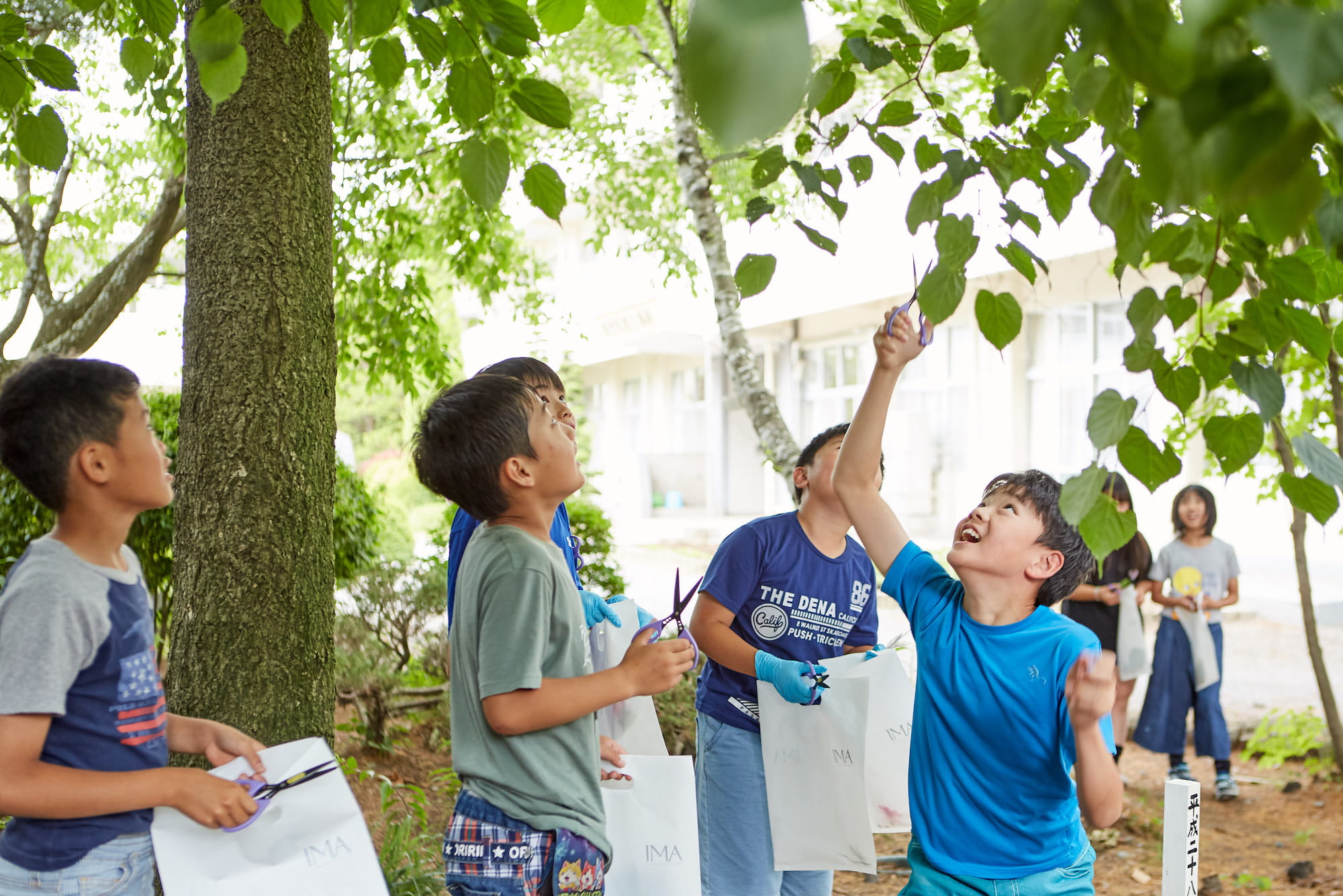 印画紙をつくったら、教室の外へ。写真にしたい植物を探して集めます