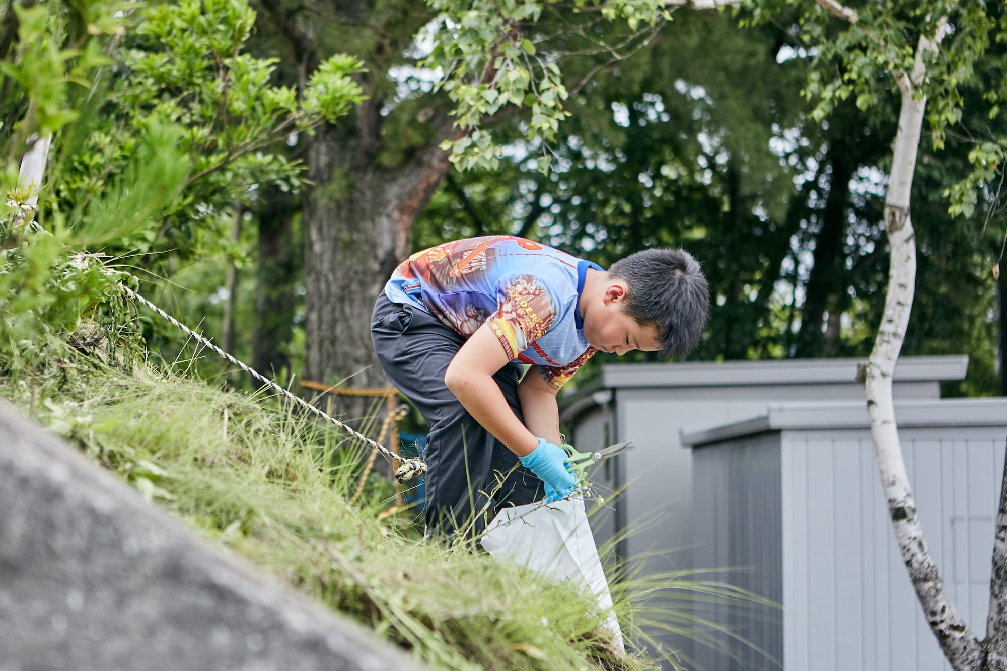 印画紙をつくったら、教室の外へ。写真にしたい植物を探して集めます