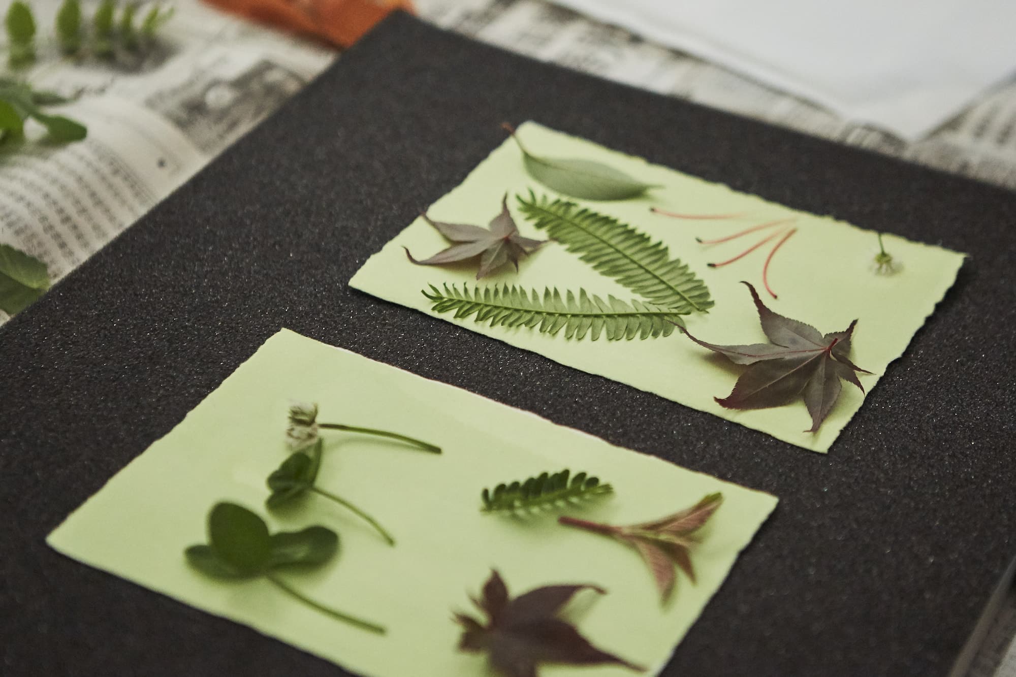 ふたりで協力して作品をアクリル板で挟み、太い輪ゴムでとめます。その後、太陽の下へ