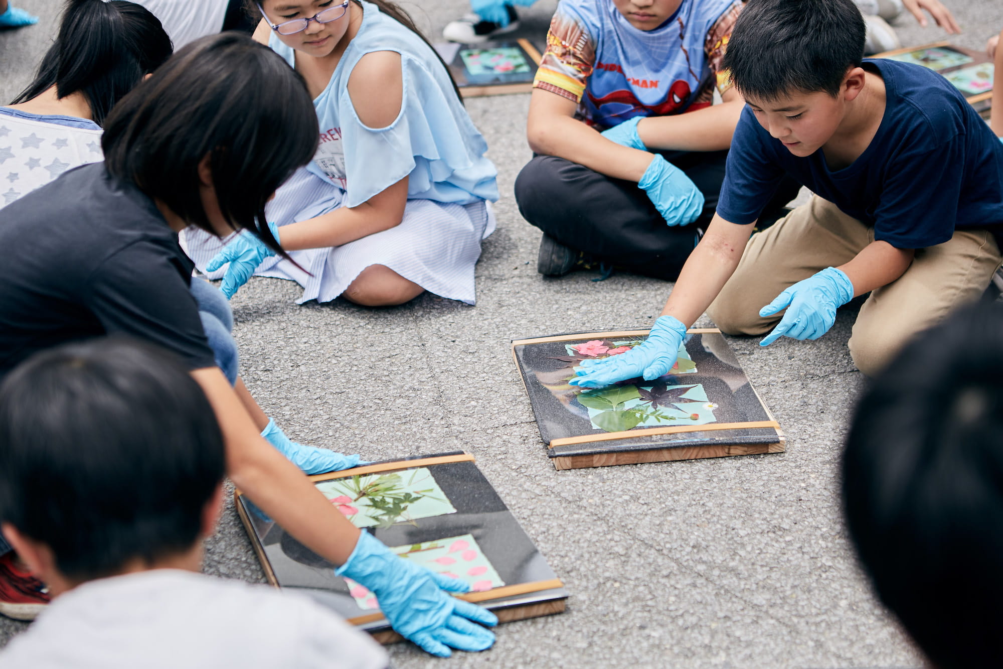 感光すると、青くなっていく印画紙。すっかり青くなったら、教室に戻ってアクリル板を外します