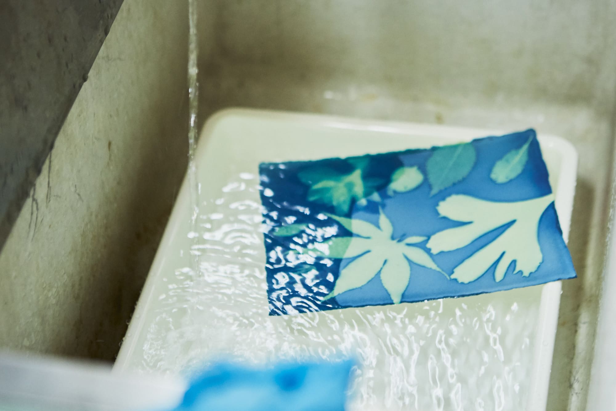 バットに入れて、水道水でよく洗い流します。ペーパーに挟んで、水気を切ったらでき上がり。PHOTO MIYOTAのメイン会場でも飾られています