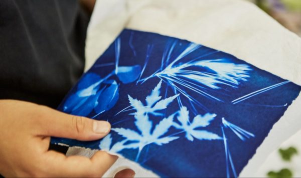 機械を使わず、写真を撮るには？