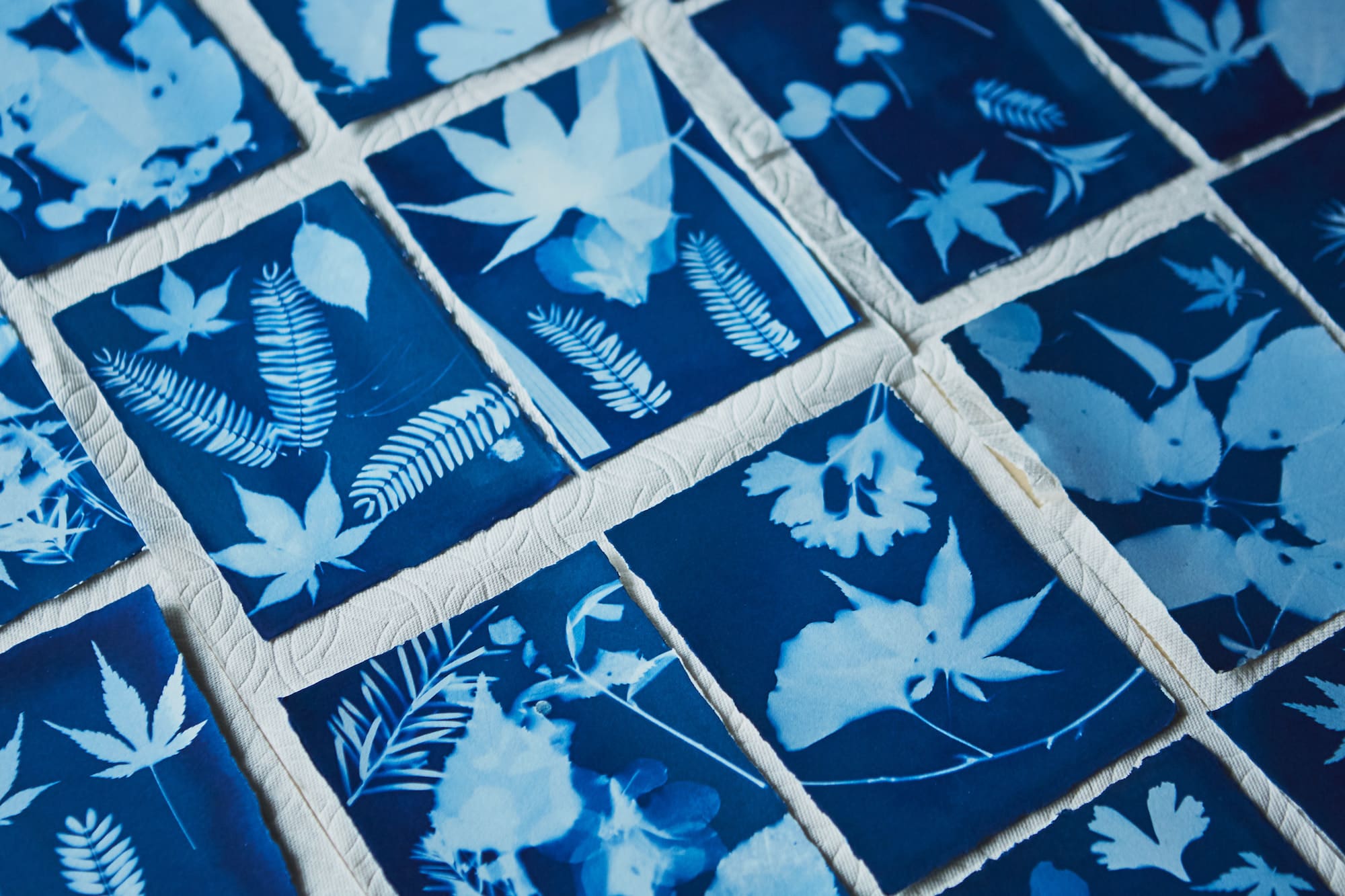 バットに入れて、水道水でよく洗い流します。ペーパーに挟んで、水気を切ったらでき上がり。PHOTO MIYOTAのメイン会場でも飾られています