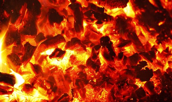 先人が見出し、研究で証した炭の力