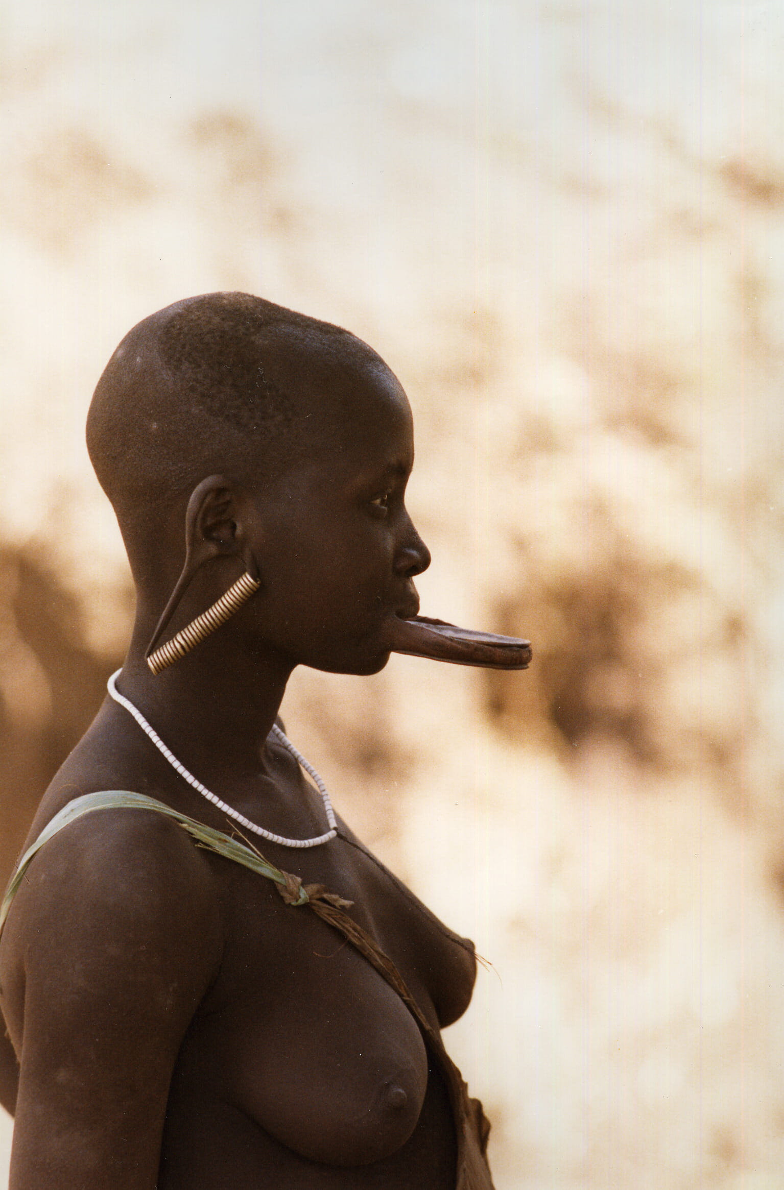 ©fonds Laura Sonnino Jannelli