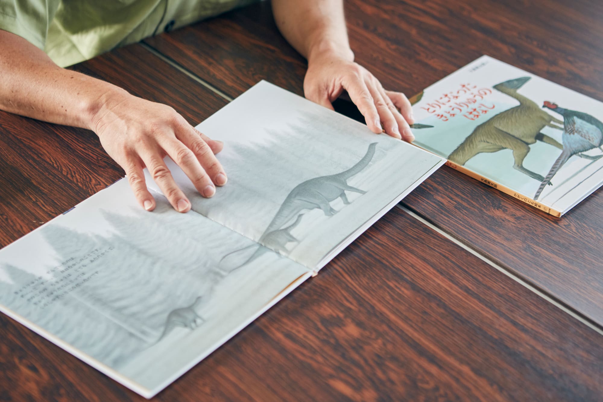 『とりになった きょうりゅうのはなし』大島英太郎 作