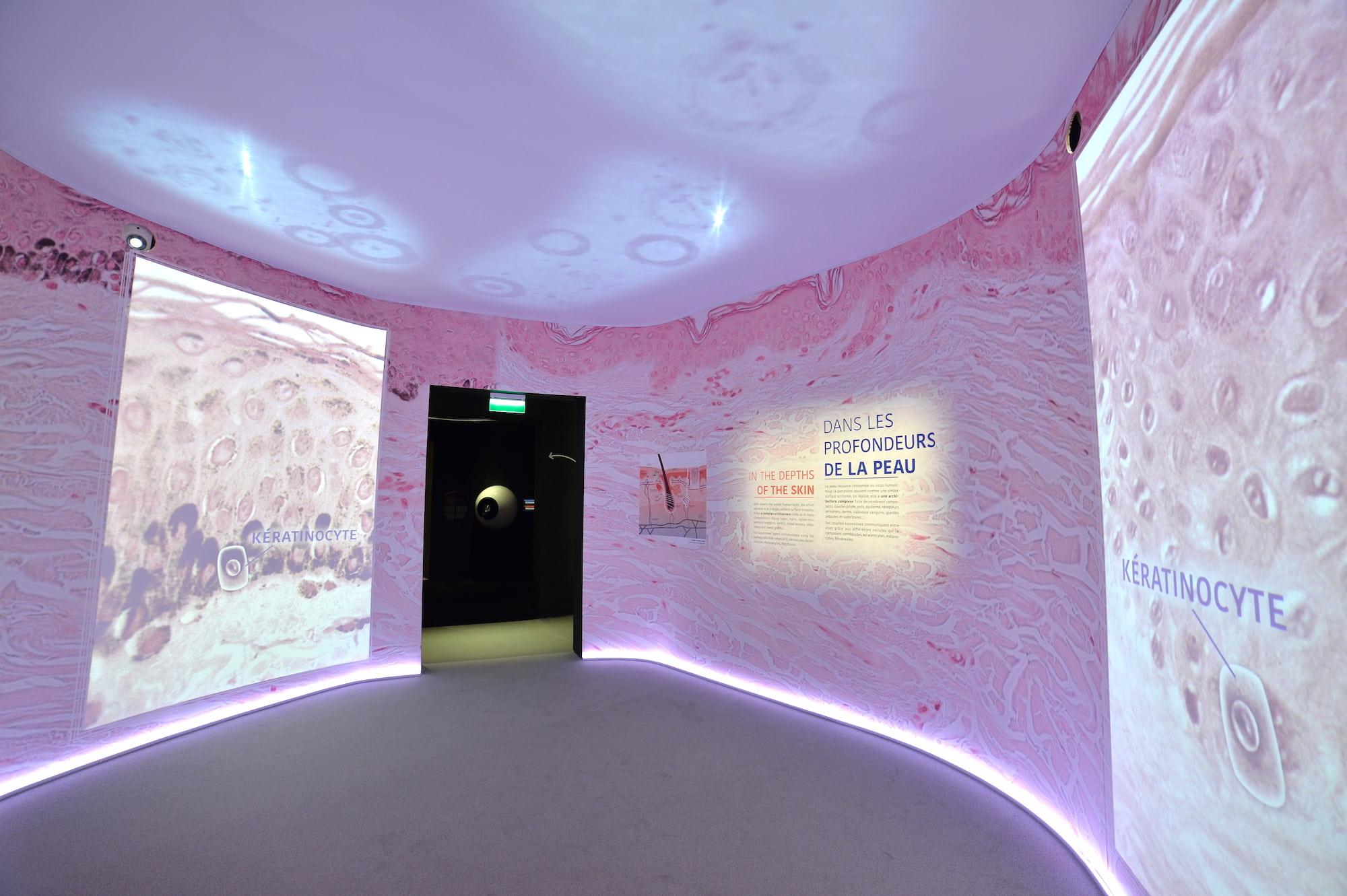 皮膚の奥で何が起こっているか、身体スケールにまで拡大して体感させる ©L’Oréal