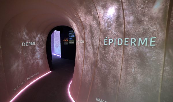 世界の肌を探求し、見えてきた未来