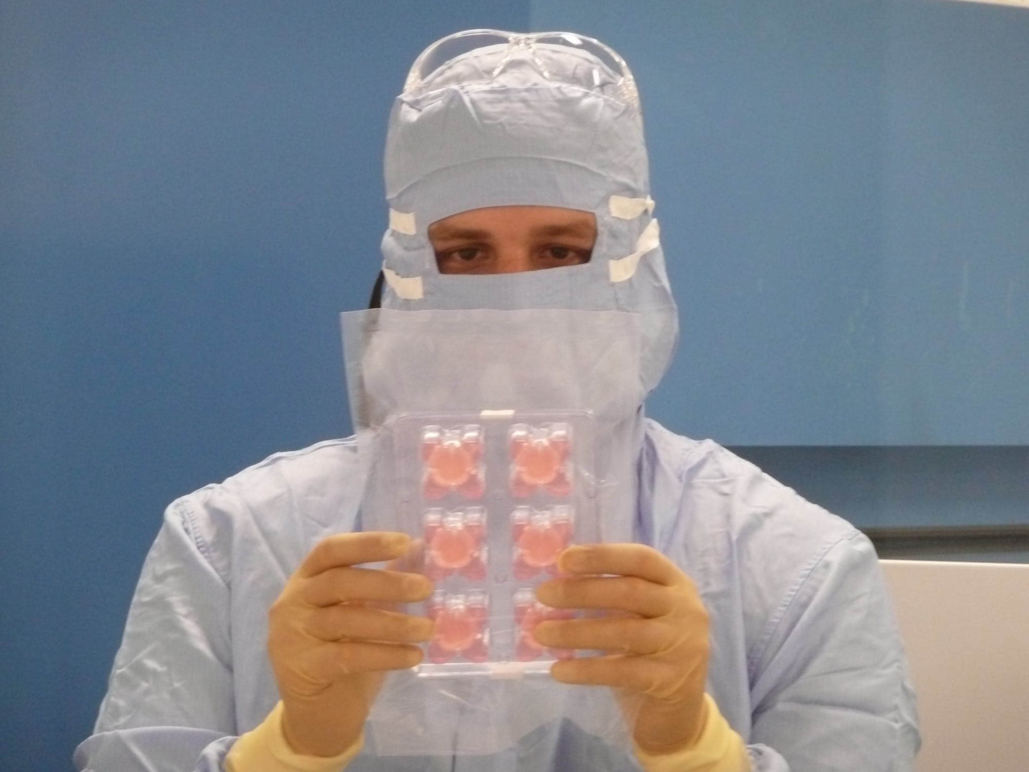 6プレート分の再現表皮「Episkin（エピスキン）」 Plate of 6 wells with reconstructed epidermis Episkin ©Matteo L’Oréal R&amp;I