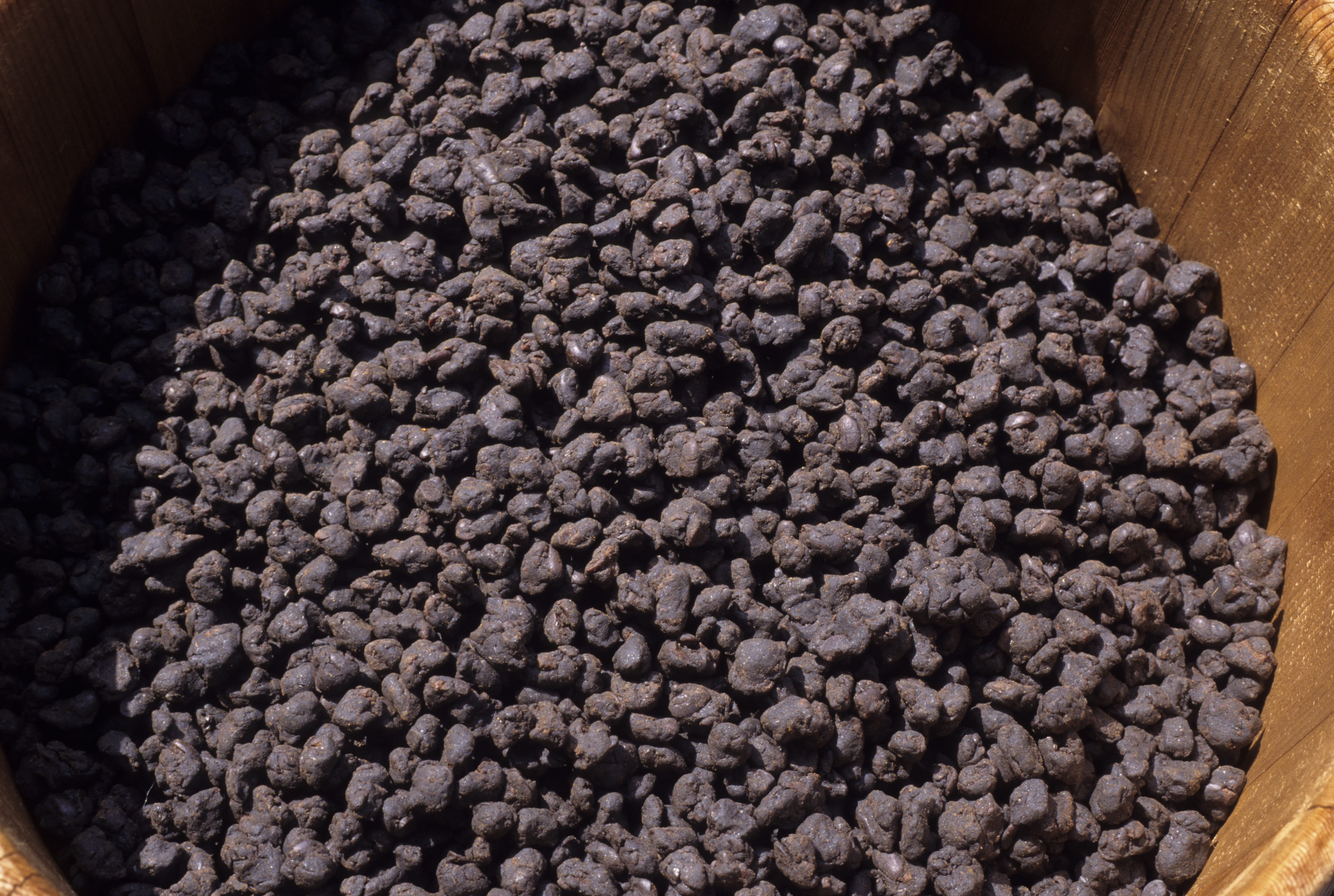 京都の大徳寺納豆 ©️ HIROSHI OHASHI/SEBUN PHOTO/amanaimages