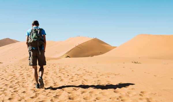 図鑑制作者のお仕事④ ゾワゾワ怖い 海外の感染症事情　