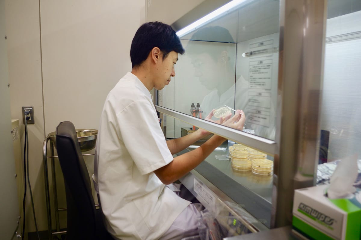 納豆菌の培養試験をする西川さん